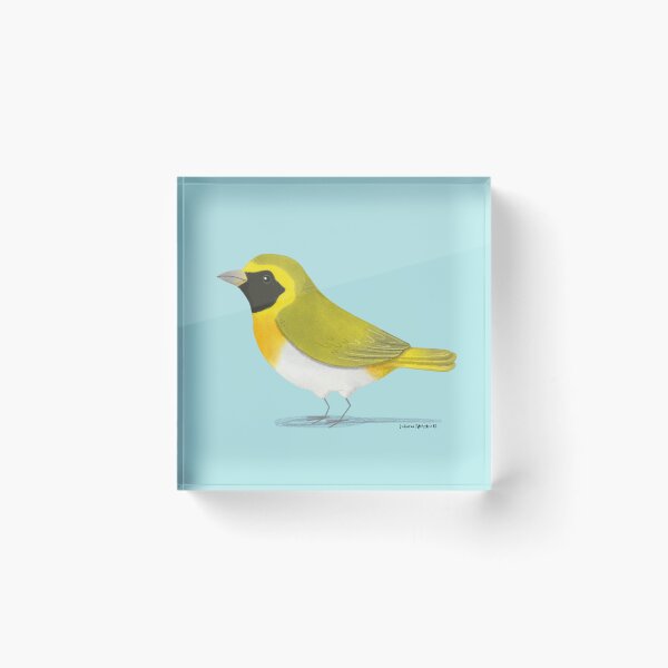 Item preview, Guira Tanager Bird designed and sold by julianamotzko.