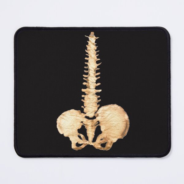 Item preview, Spinal Column Halloween designed and sold by Jacqueline  Shuler.