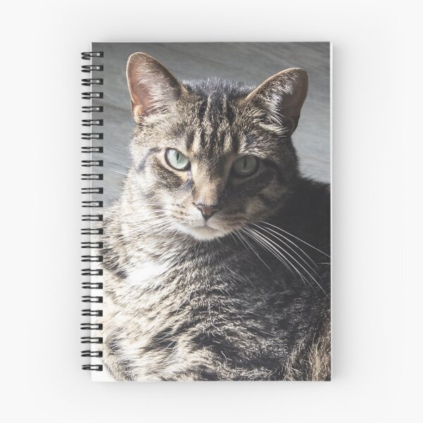 Item preview, Cat Stare designed and sold by Sketchbrooke.