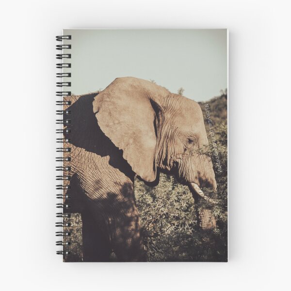 Item preview, Side profile Elephant designed and sold by NickyLeighPhoto.