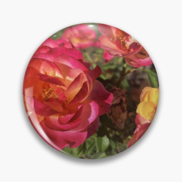 Item preview, Sunset Coral and Yellow Roses - Garden Floral Photography designed and sold by BalkanBloomArt.