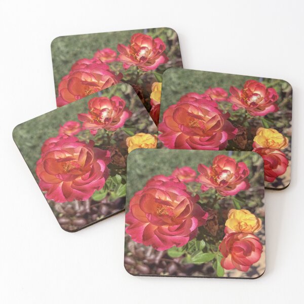 Item preview, Sunset Coral and Yellow Roses - Garden Floral Photography designed and sold by BalkanBloomArt.