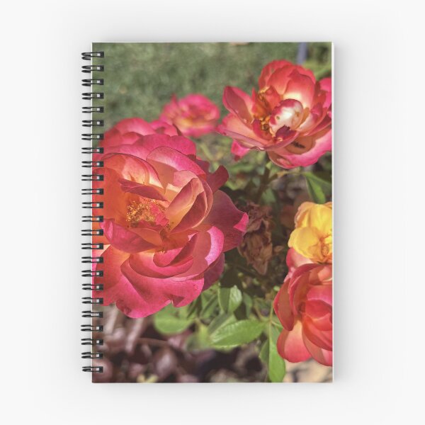 Item preview, Sunset Coral and Yellow Roses - Garden Floral Photography designed and sold by BalkanBloomArt.