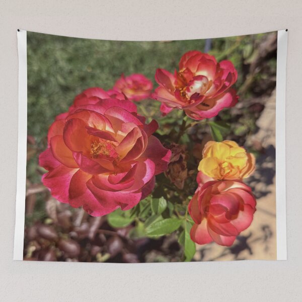 Item preview, Sunset Coral and Yellow Roses - Garden Floral Photography designed and sold by BalkanBloomArt.