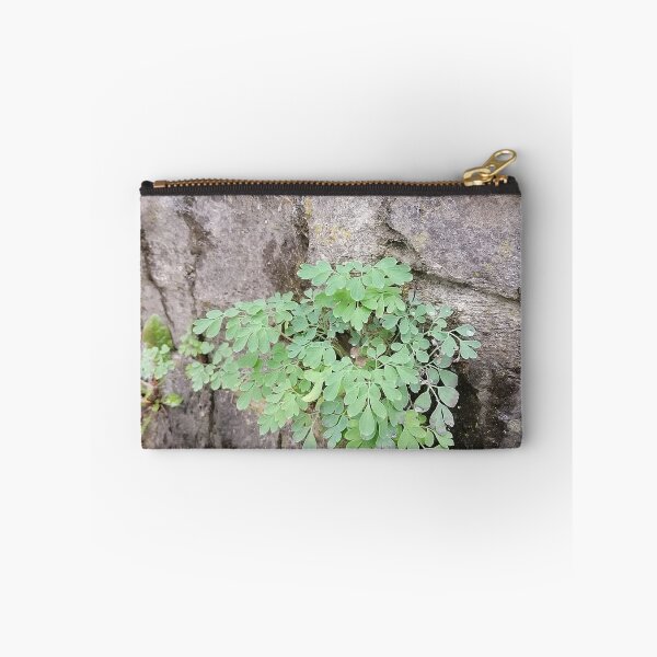 Artikelvorschau, Green Plant Growing on Stone entworfen und verkauft von PhuongVoArt.