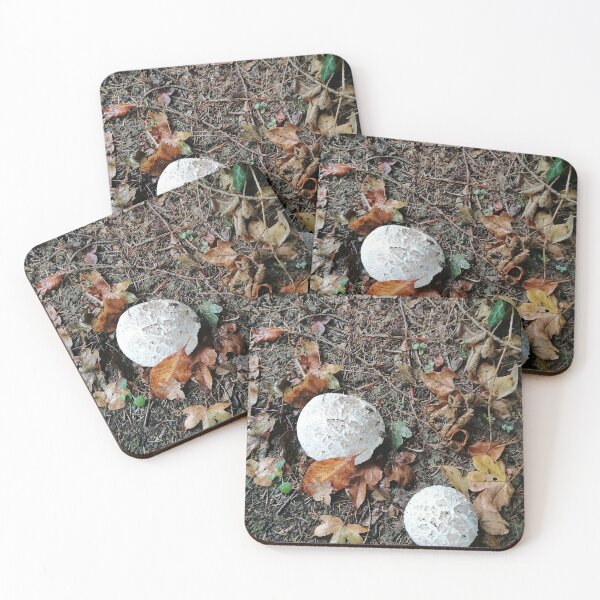 Item preview, White Mushrooms on Forest Floor designed and sold by PhuongVoArt.