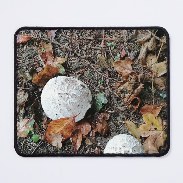 Artikelvorschau, White Mushrooms on Forest Floor entworfen und verkauft von PhuongVoArt.
