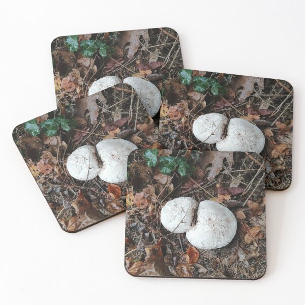 Item preview, White Mushrooms in Autumn Forest designed and sold by PhuongVoArt.