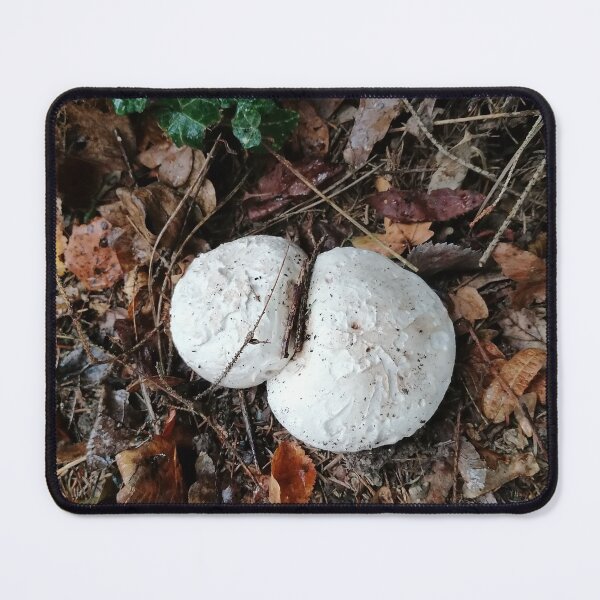 Artikelvorschau, White Mushrooms in Autumn Forest entworfen und verkauft von PhuongVoArt.