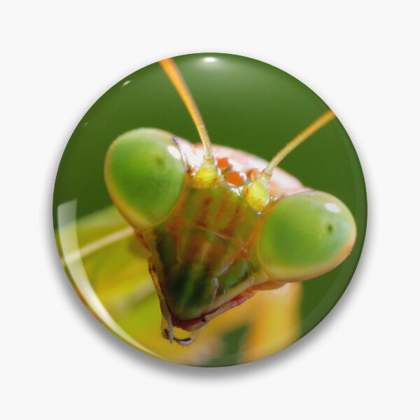 Item preview, Carolina mantis designed and sold by Parks and X.