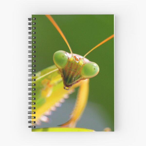 Item preview, Carolina mantis designed and sold by Parks and X.