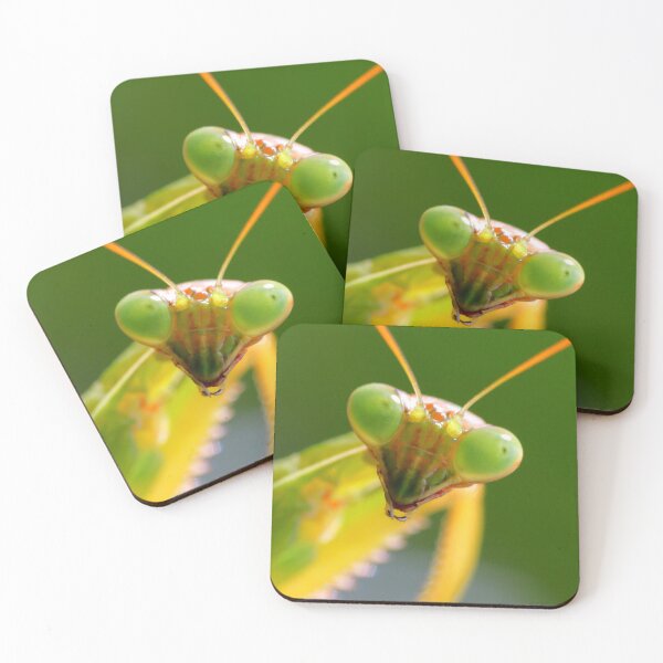 Item preview, Carolina mantis designed and sold by Parks and X.