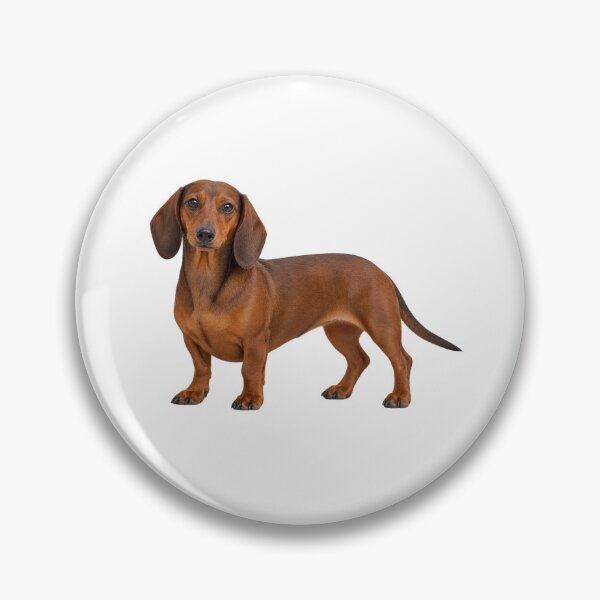 Item preview, Dachshund  designed and sold by cringe0015.