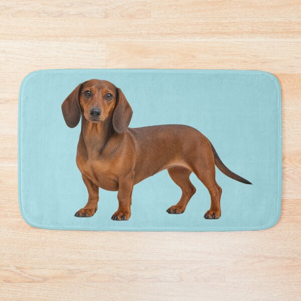 Item preview, Dachshund  designed and sold by cringe0015.
