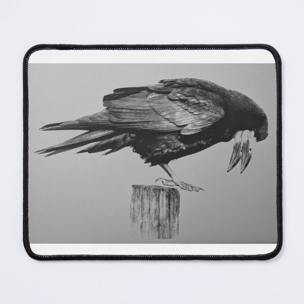 Item preview, Two-Face Crow designed and sold by art-0f-marlee.