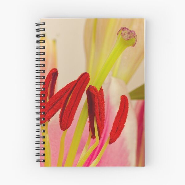 Item preview, Lily Stamens Macro designed and sold by Rabee Khalil Photography.