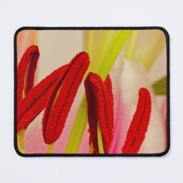 Item preview, Lily Stamens Macro designed and sold by Rabee Khalil Photography.