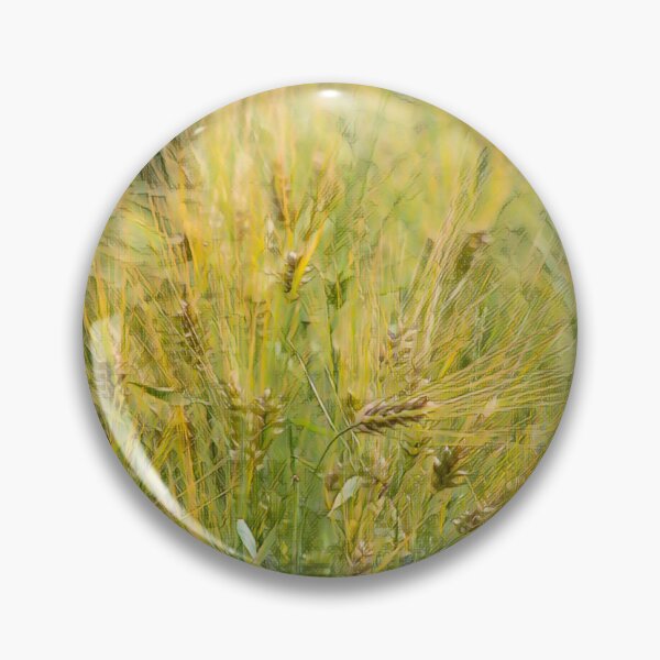 Item preview, Barley Field in July - evalaaksart - A piece of Finland designed and sold by evalaaksart.