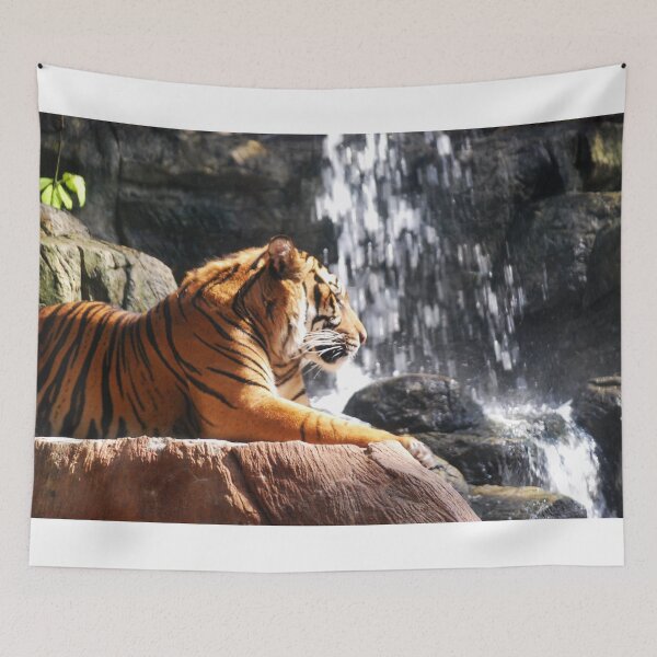 Item preview, Tiger by a Waterfall designed and sold by Jon Shore.