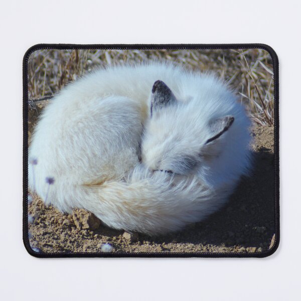 Item preview, Sleeping Artic Fox designed and sold by Creek Nymph Photography.