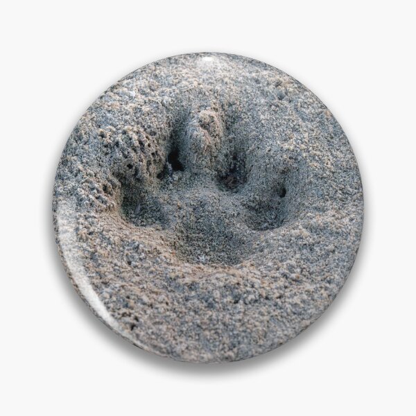 Item preview, Deep Impression: Paw Print in the Sands designed and sold by AbulailArt.