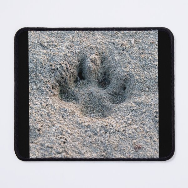 Item preview, Deep Impression: Paw Print in the Sands designed and sold by AbulailArt.