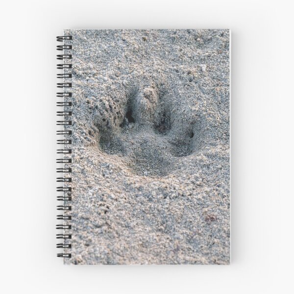 Item preview, Deep Impression: Paw Print in the Sands designed and sold by AbulailArt.