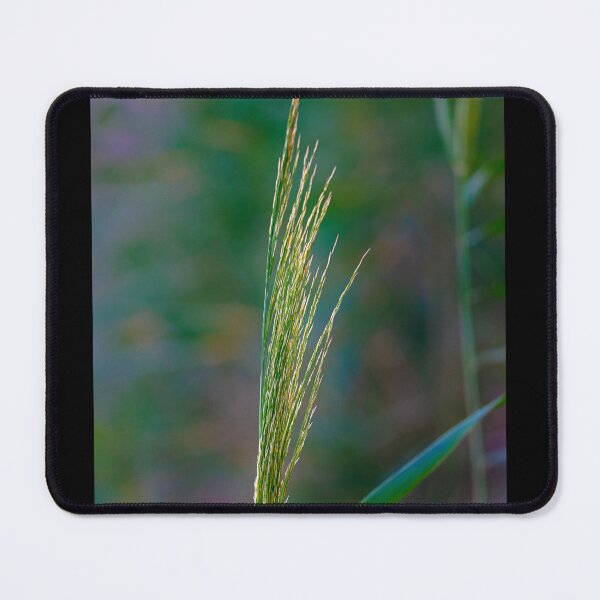 Item preview, Delicate Strands: Wetland Flora Detail designed and sold by AbulailArt.