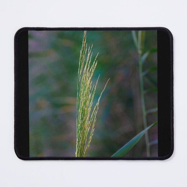 Item preview,  Wetland Flora Detail designed and sold by AbulailArt.