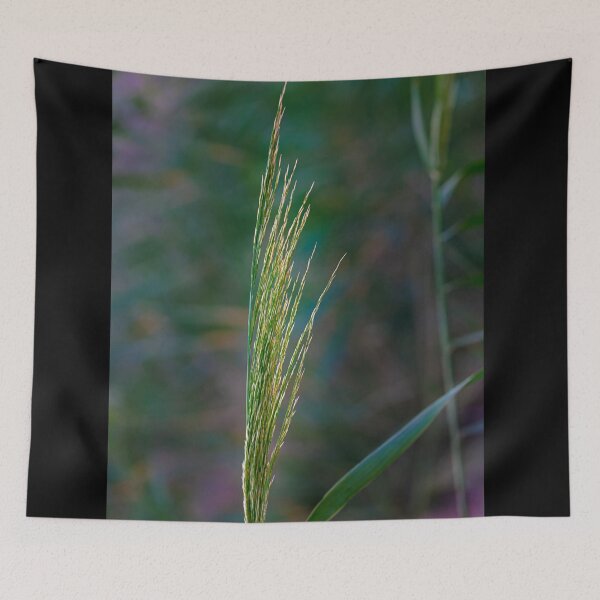 Item preview,  Wetland Flora Detail designed and sold by AbulailArt.