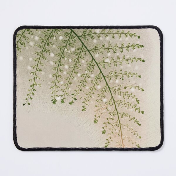 Item preview, Fern Leaf designed and sold by scicilysimonee.