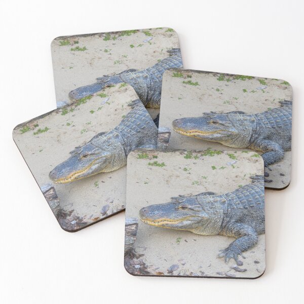 Item preview, American Alligator designed and sold by Creek Nymph Photography.