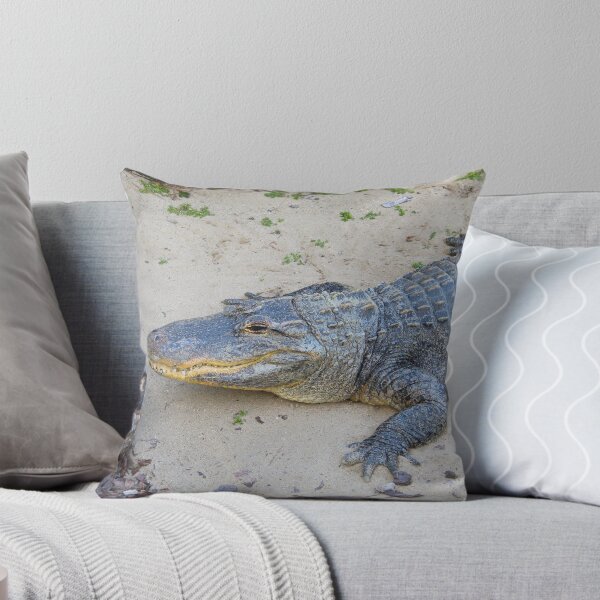 Item preview, American Alligator designed and sold by Creek Nymph Photography.