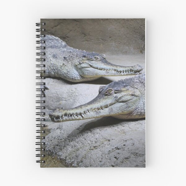 Item preview, Slender-Snouted Crocodile  designed and sold by Creek Nymph Photography.