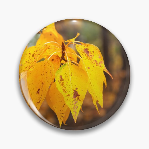 Item preview, Close up of Golden Autumn Leaves designed and sold by jklune.