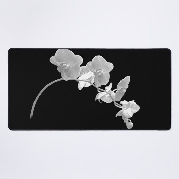 Item preview, Gorgeous Orchid Flower Black White Phalaenopsis Shapes Mania designed and sold by Shapes-Mania.