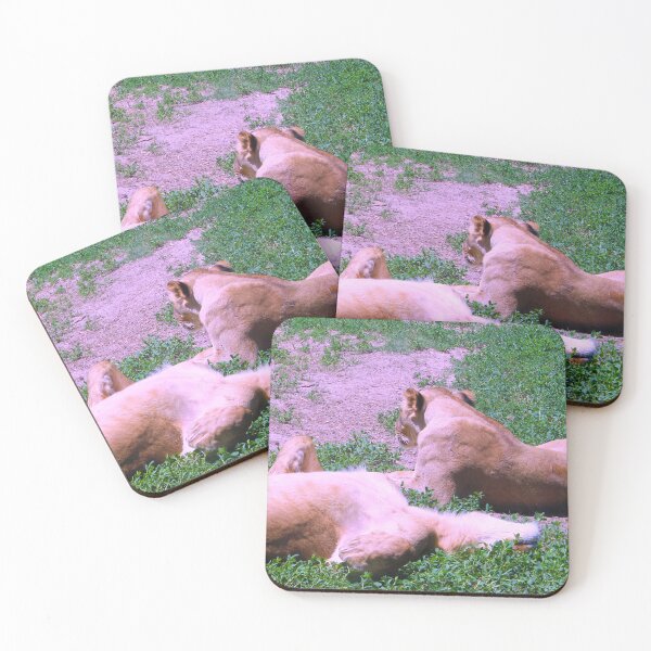 Item preview, Lionesses designed and sold by Creek Nymph Photography.