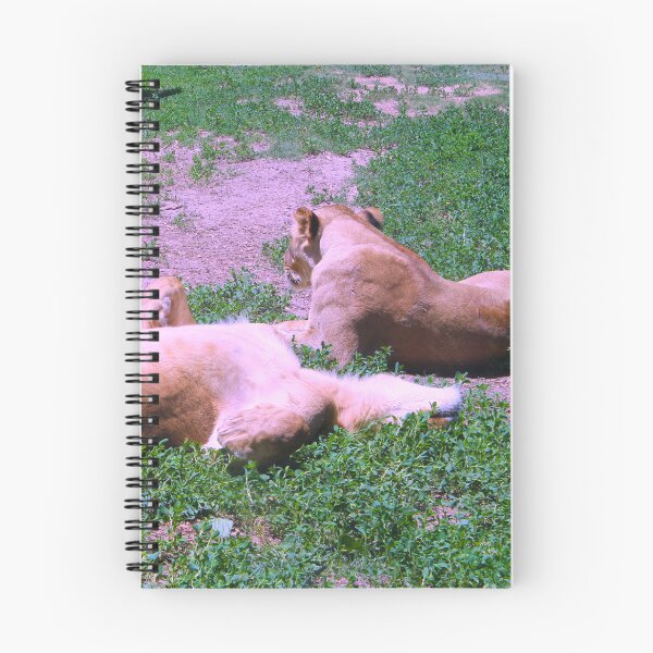 Item preview, Lionesses designed and sold by Creek Nymph Photography.