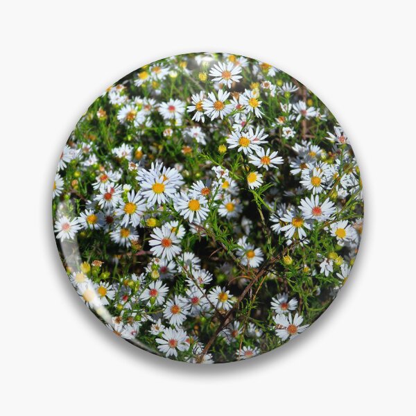 Item preview, Frost Aster designed and sold by bjtomiko.