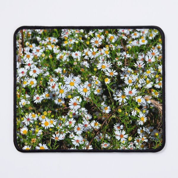 Item preview, Frost Aster designed and sold by bjtomiko.