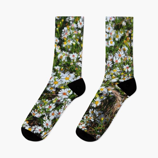 Item preview, Frost Aster designed and sold by bjtomiko.