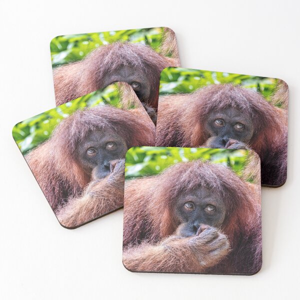 Item preview, Orang Utan 12 designed and sold by photograham.