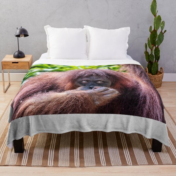 Item preview, Orang Utan 12 designed and sold by photograham.