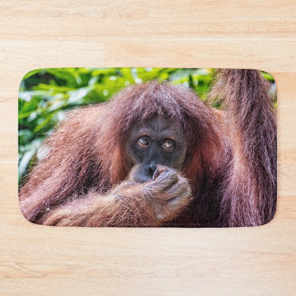 Item preview, Orang Utan 12 designed and sold by photograham.