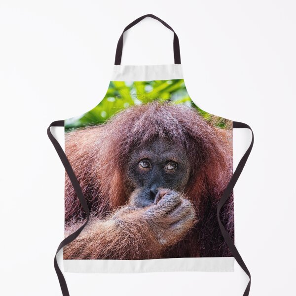 Item preview, Orang Utan 12 designed and sold by photograham.