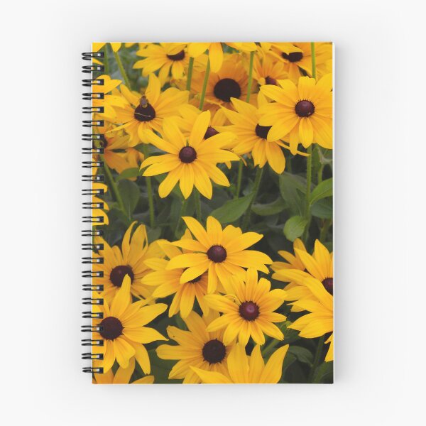 Item preview, Black-Eyed Susans designed and sold by Creek Nymph Photography.