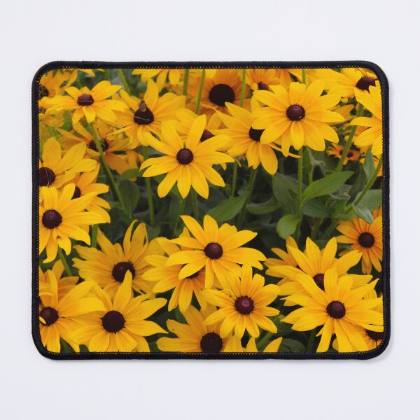 Item preview, Black-Eyed Susans designed and sold by Creek Nymph Photography.