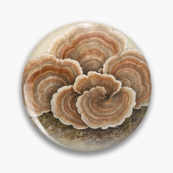 Item preview, Turkey Tail Mushroom Watercolor | Cottagecore Wall Art designed and sold by FixationStudio.