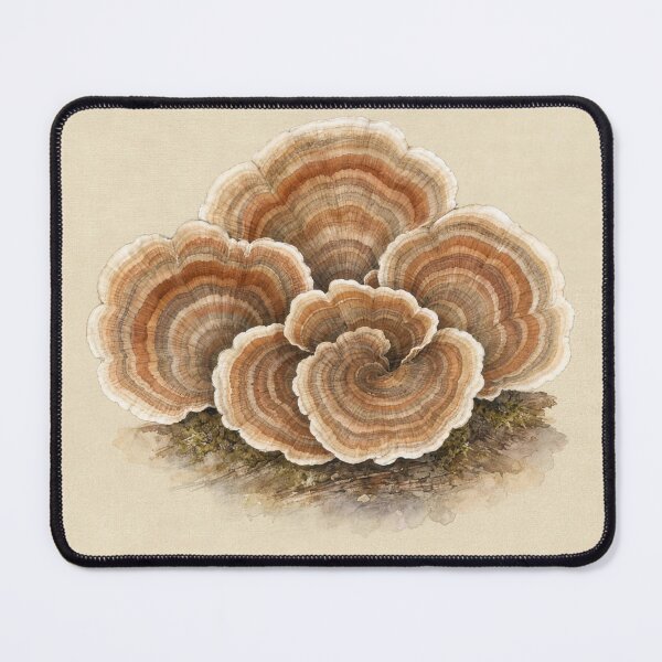 Item preview, Turkey Tail Mushroom Watercolor | Cottagecore Wall Art designed and sold by FixationStudio.