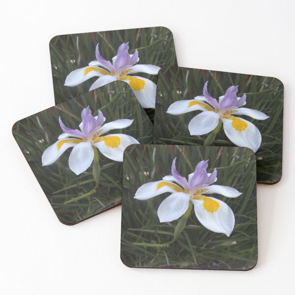 Item preview, Beautiful colourful and pretty flower designed and sold by aligata1970.